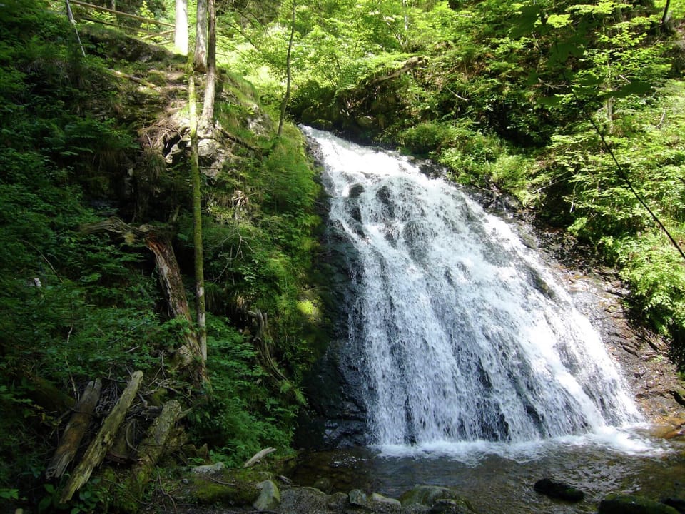 Immediate Surroundings [summer] (<1 km)