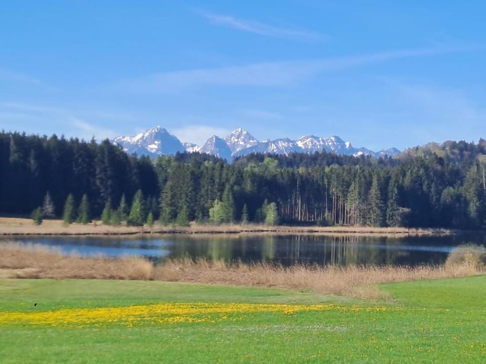 Surroundings [summer] (1-5 km)