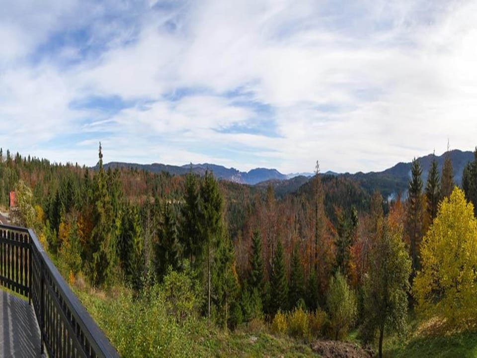 View from Holiday Home [summer]