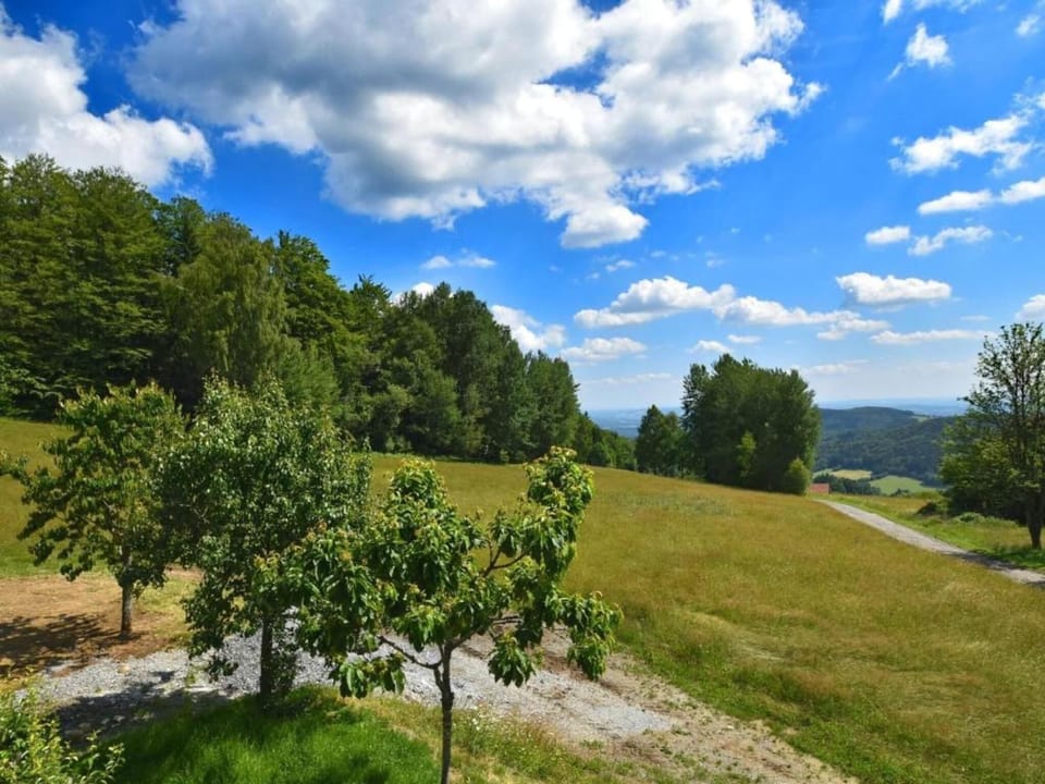 Region [summer] (>5 km)
