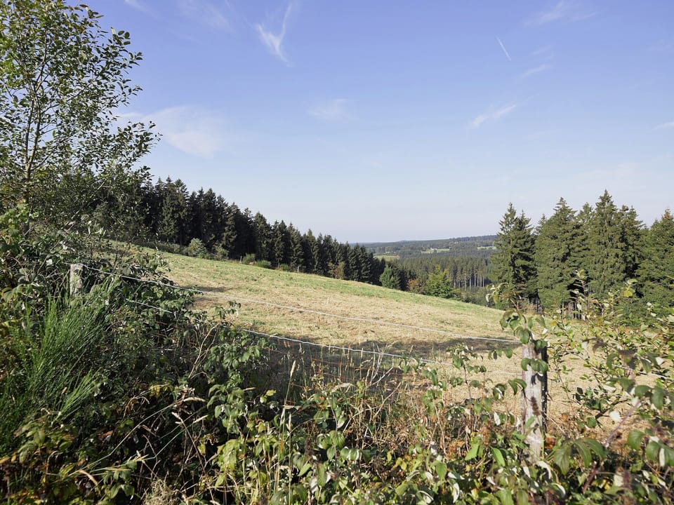 Immediate Surroundings [summer] (<1 km)