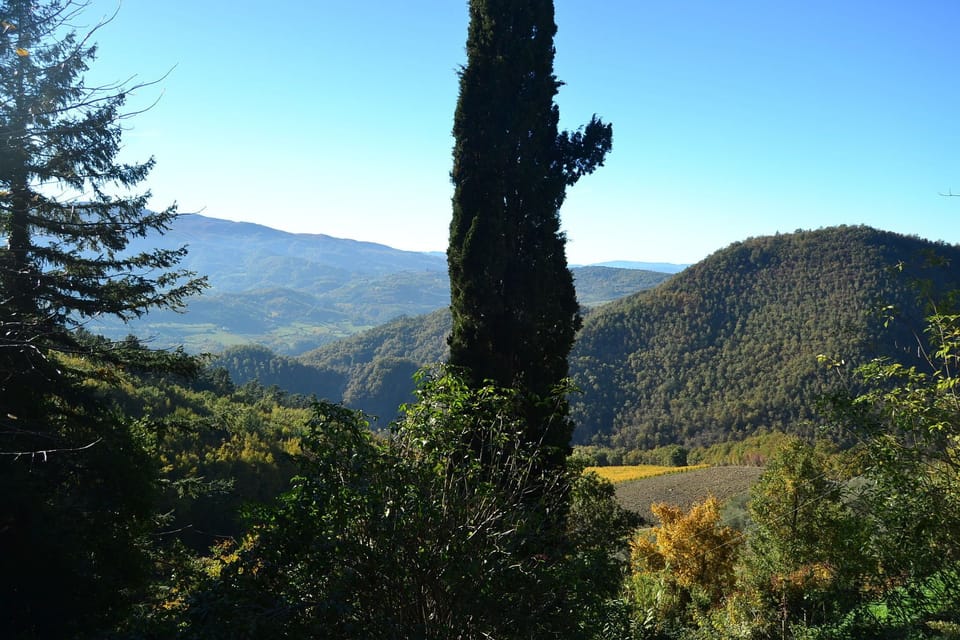 Surroundings [summer] (1-5 km)