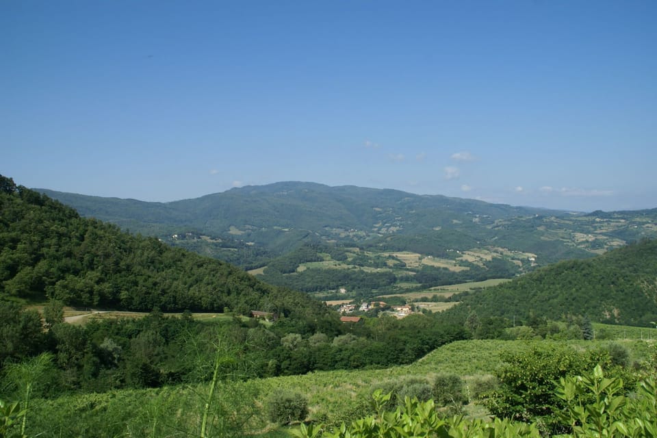 Region [summer] (>5 km)