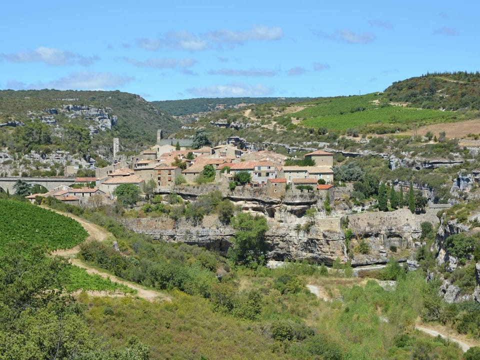 Region [summer] (>5 km)