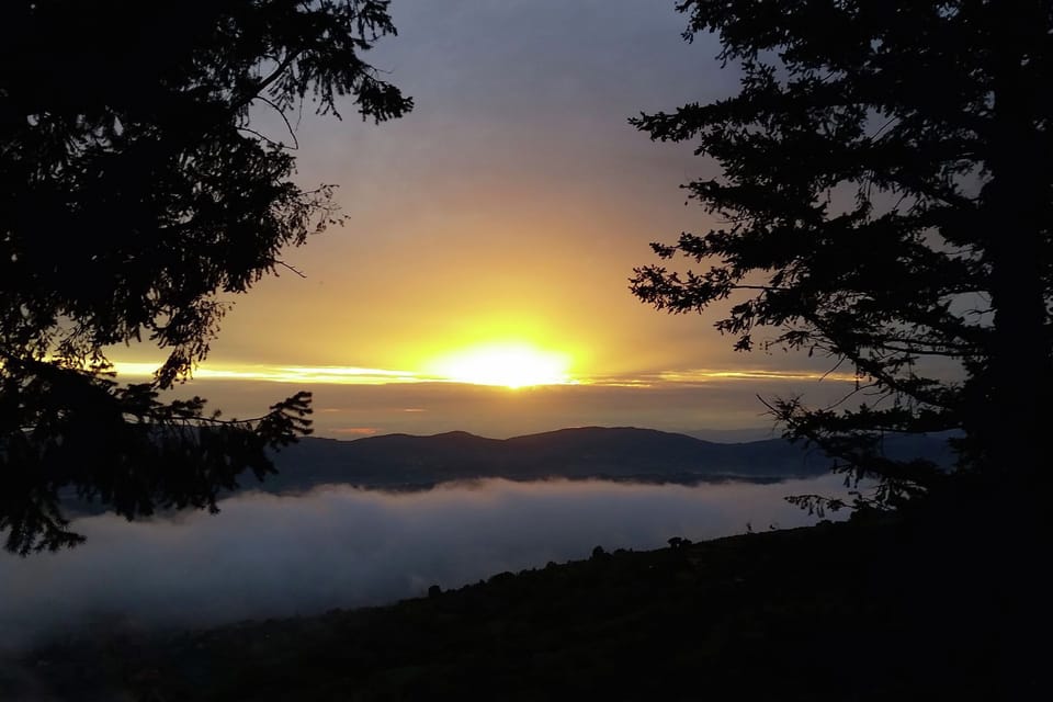 View from Holiday Home [summer]