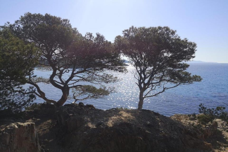 Region [summer] (>5 km)