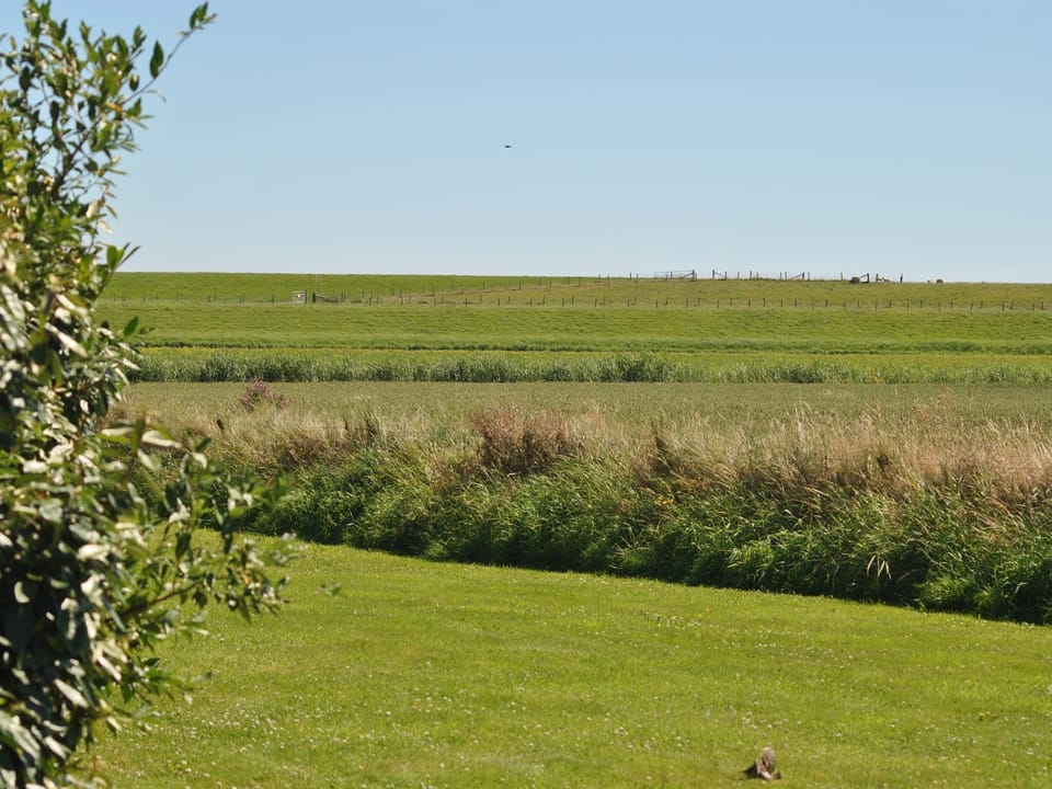View from Holiday Home [summer]