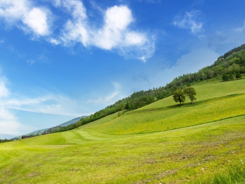 Surroundings [summer] (1-5 km)