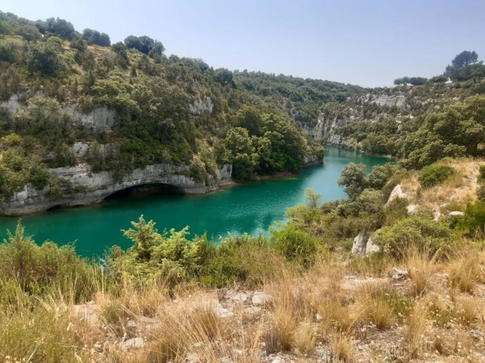 Region [summer] (>5 km)
