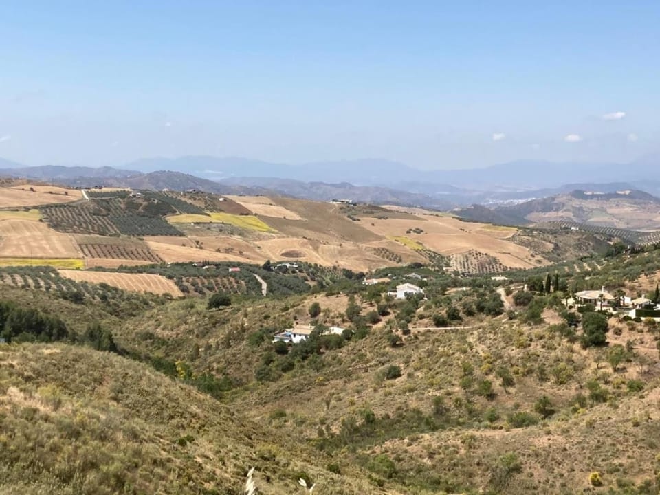 Region [summer] (>5 km)
