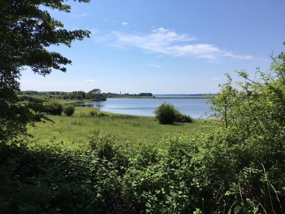 Surroundings [summer] (1-5 km)
