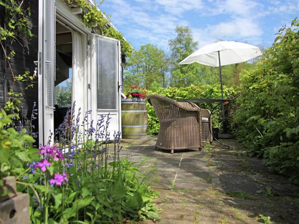 Garden [summer]