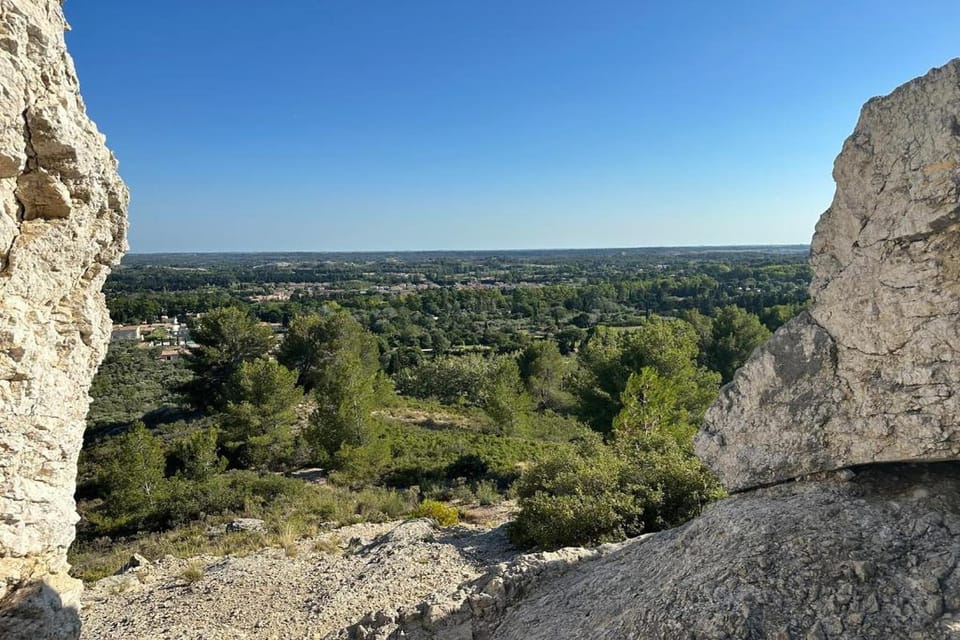 Region [summer] (>5 km)