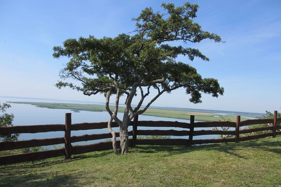 View from Holiday Home [summer]