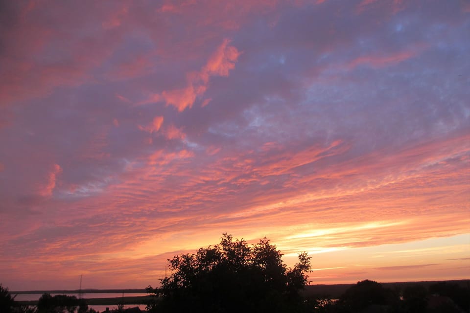 View from Holiday Home [summer]