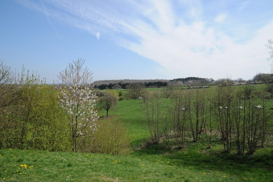 Immediate Surroundings [summer] (<1 km)