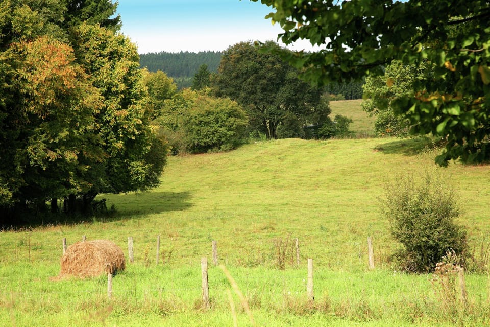 Region [summer] (>5 km)