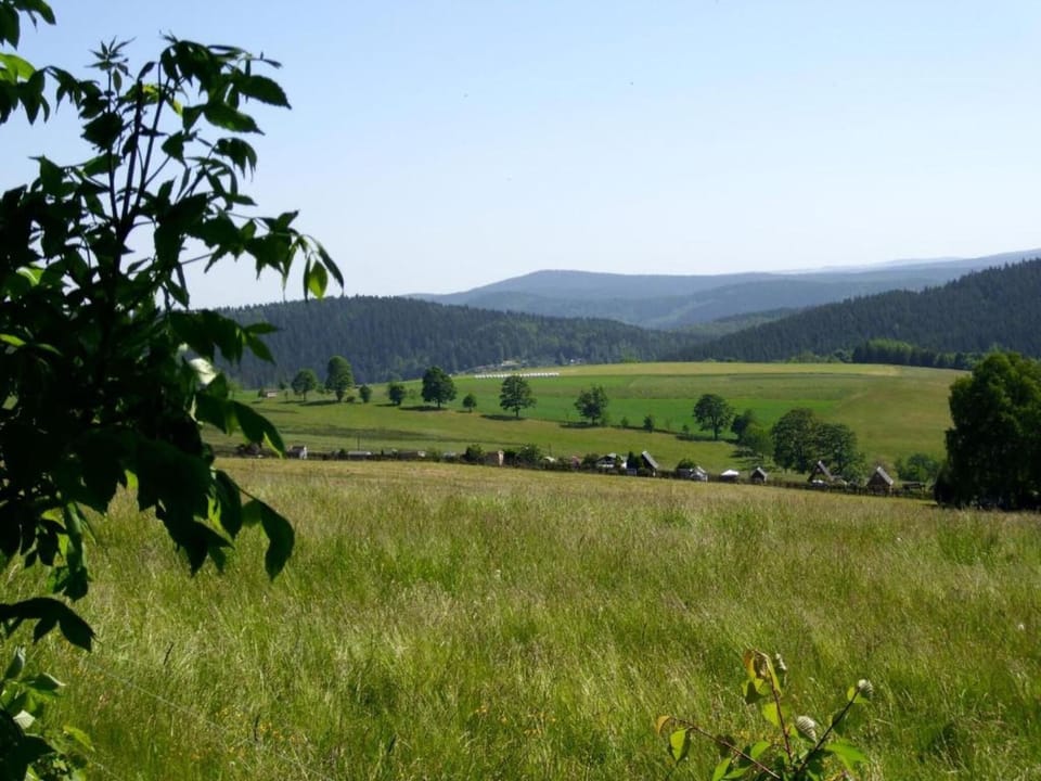 Region [summer] (>5 km)