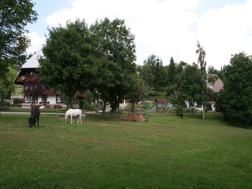 Immediate Surroundings [summer] (<1 km)