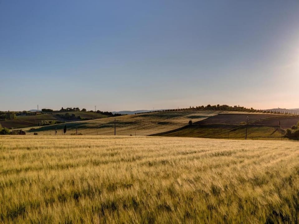 Region [summer] (>5 km)