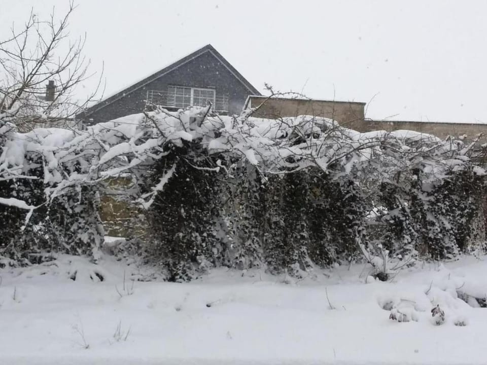 Region [winter] (>5 km)