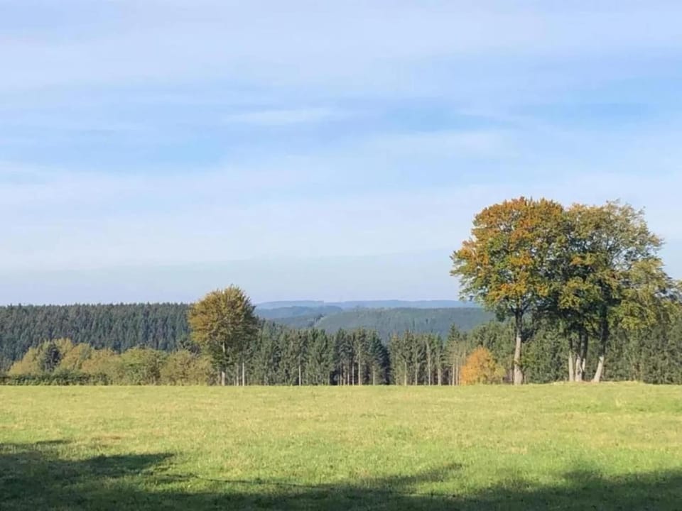 Region [summer] (>5 km)