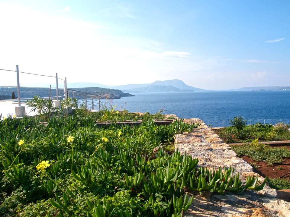 Lovely natural gardens 