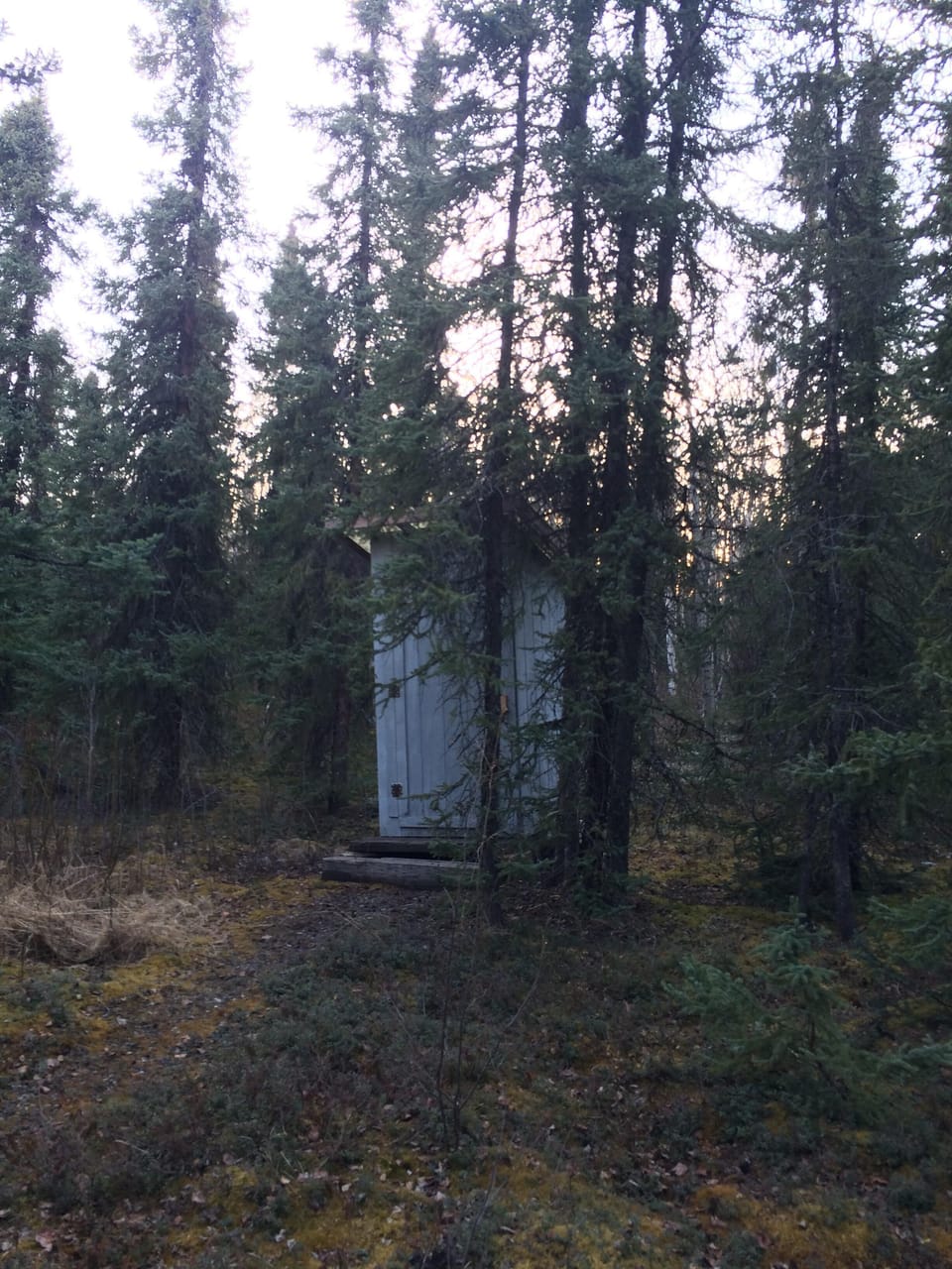 We promise your visit to the 'real deal’ true Alaskan outhouse will be great.