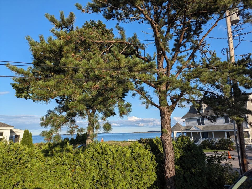 View from the deck.