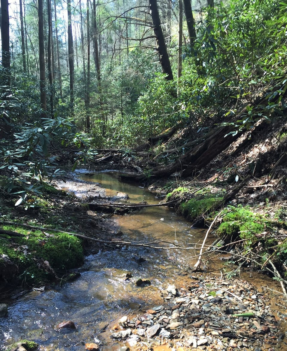 Creek steps from the property