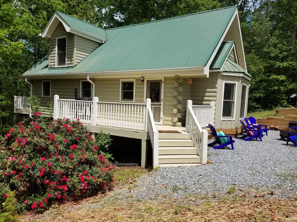 Front side view of cabin with mature cabbage rose bush fully in bloom