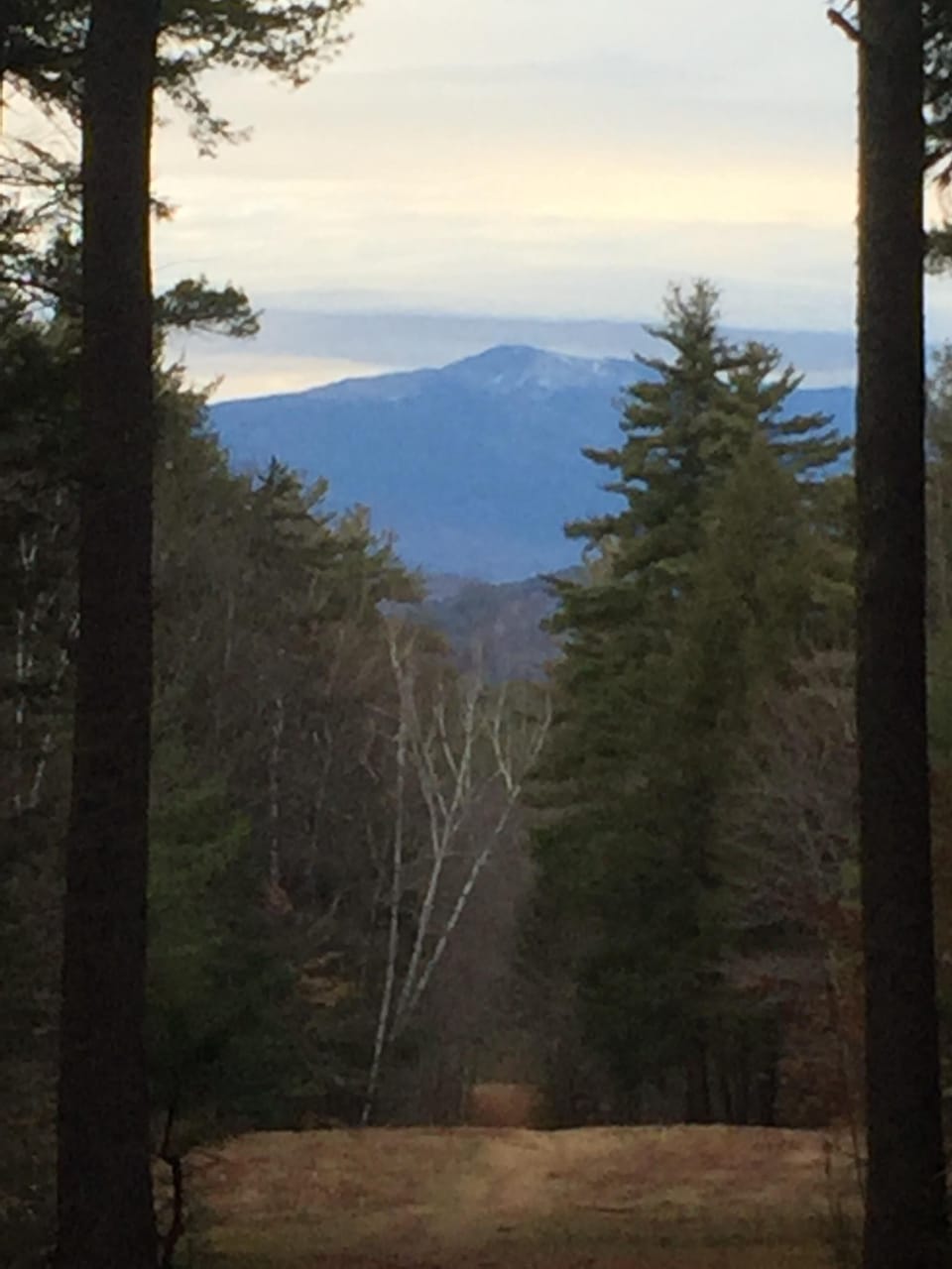 View from property