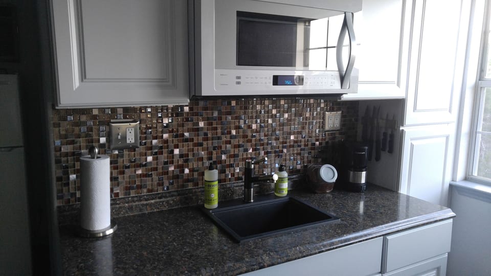 Euro style kitchen with convection microwave, induction plate & drip coffee make