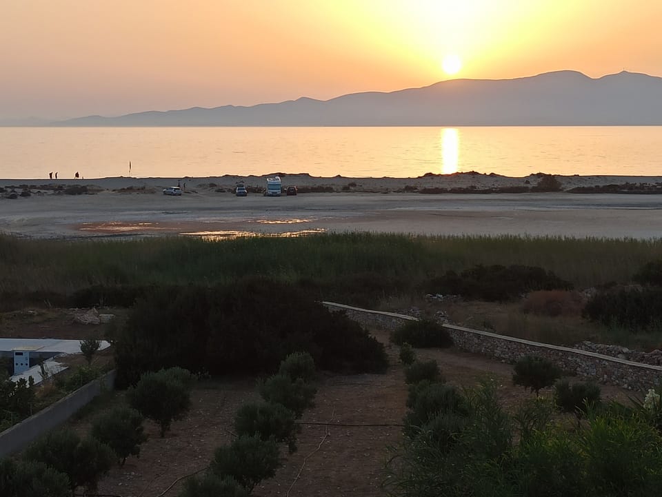 Olive trees and sunset view from balcony