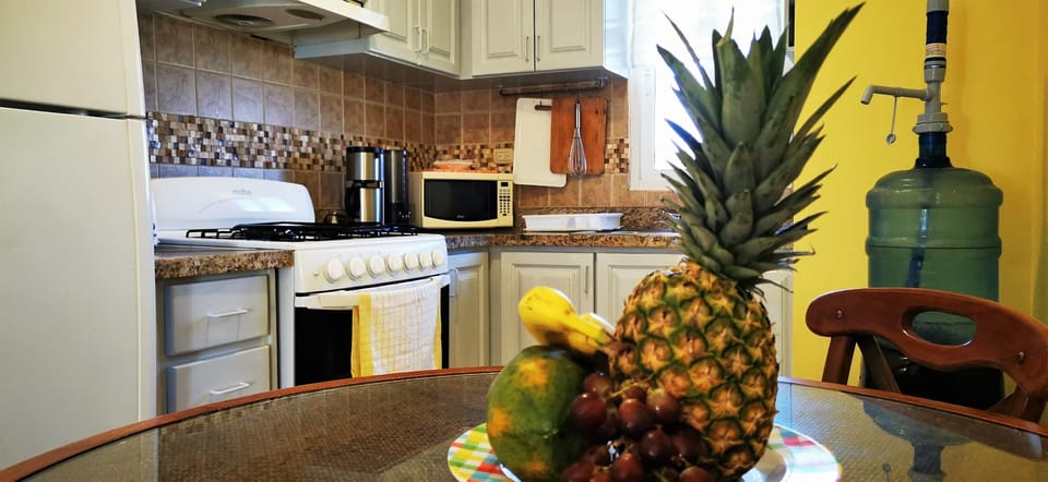Fridge, microwave, oven, stove, toaster, blender, coffee machine, pans and pots.