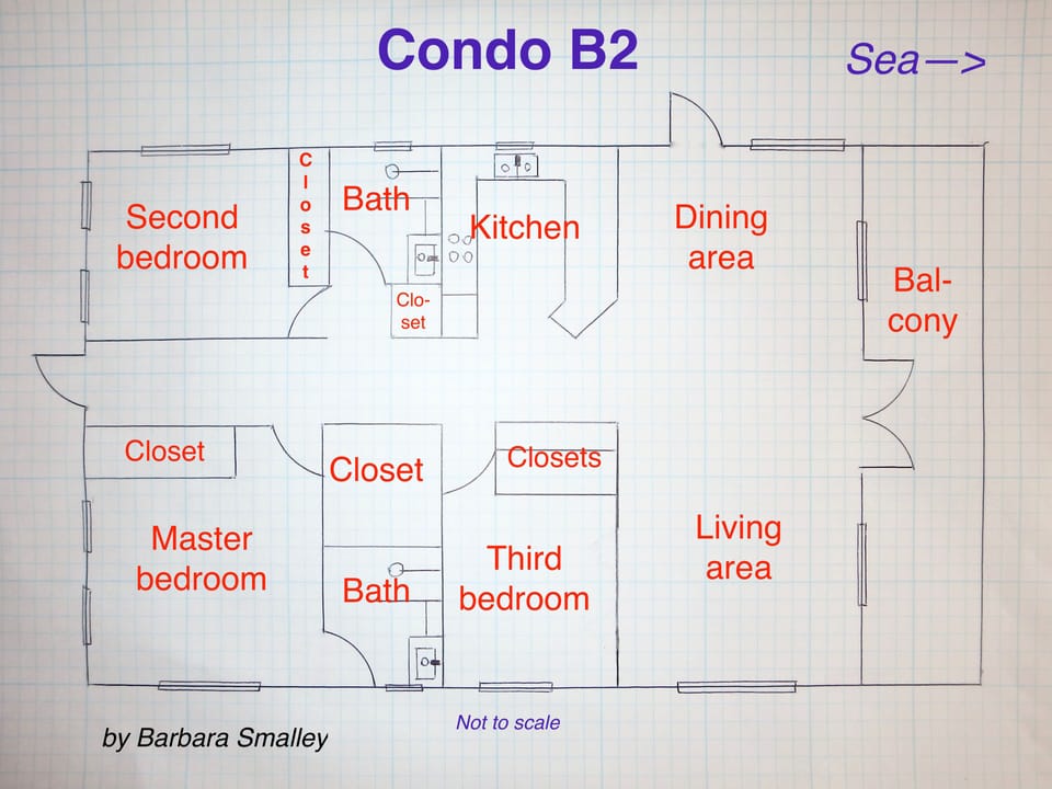 Condo floor plan (not to scale!)