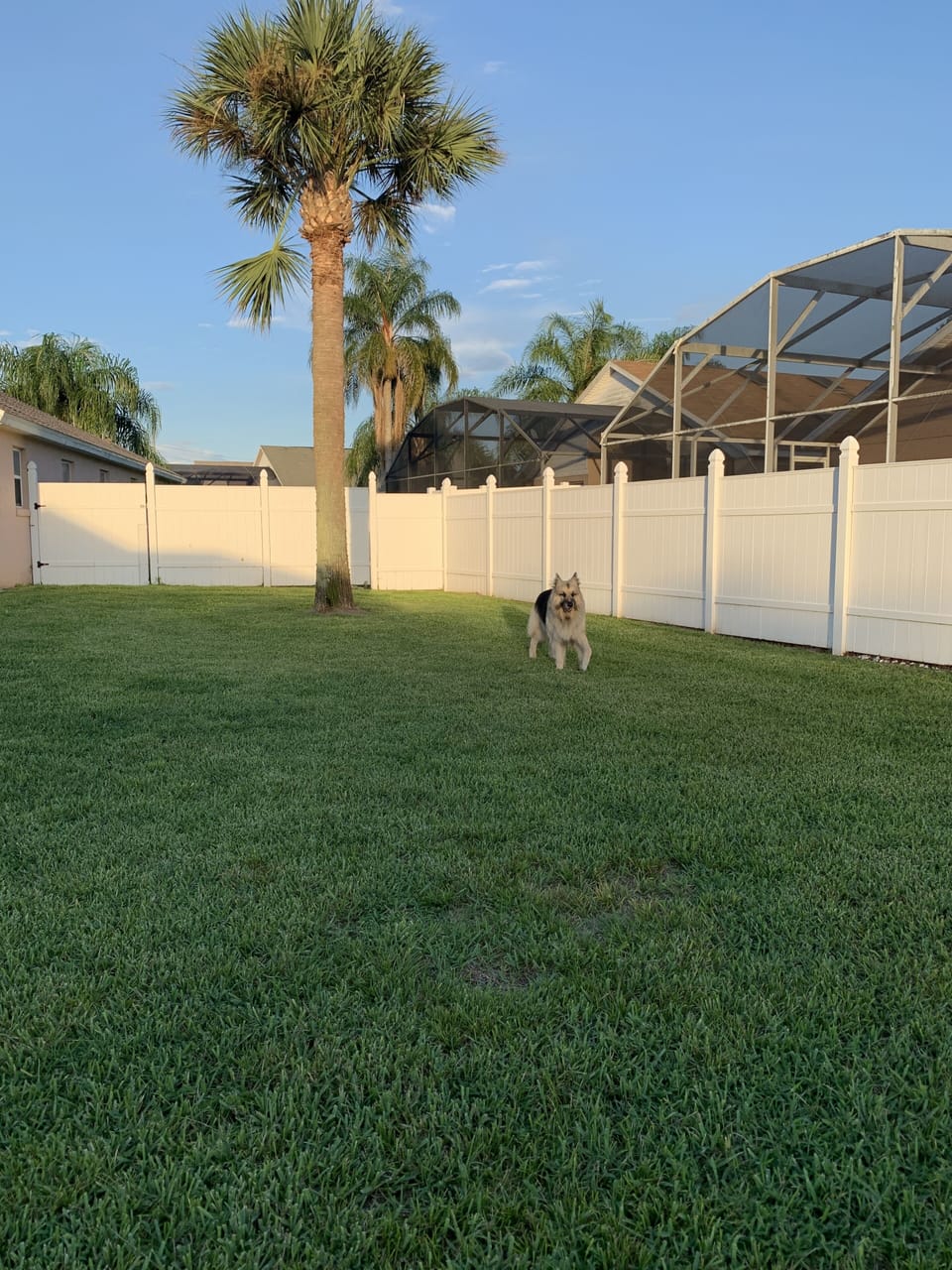 Property grounds