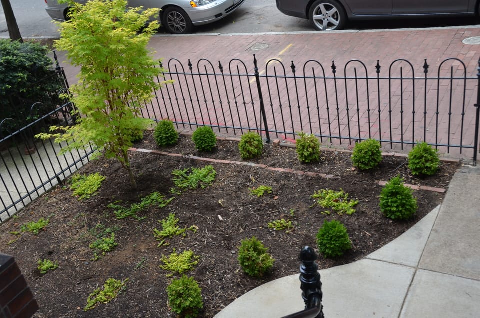 Front Garden