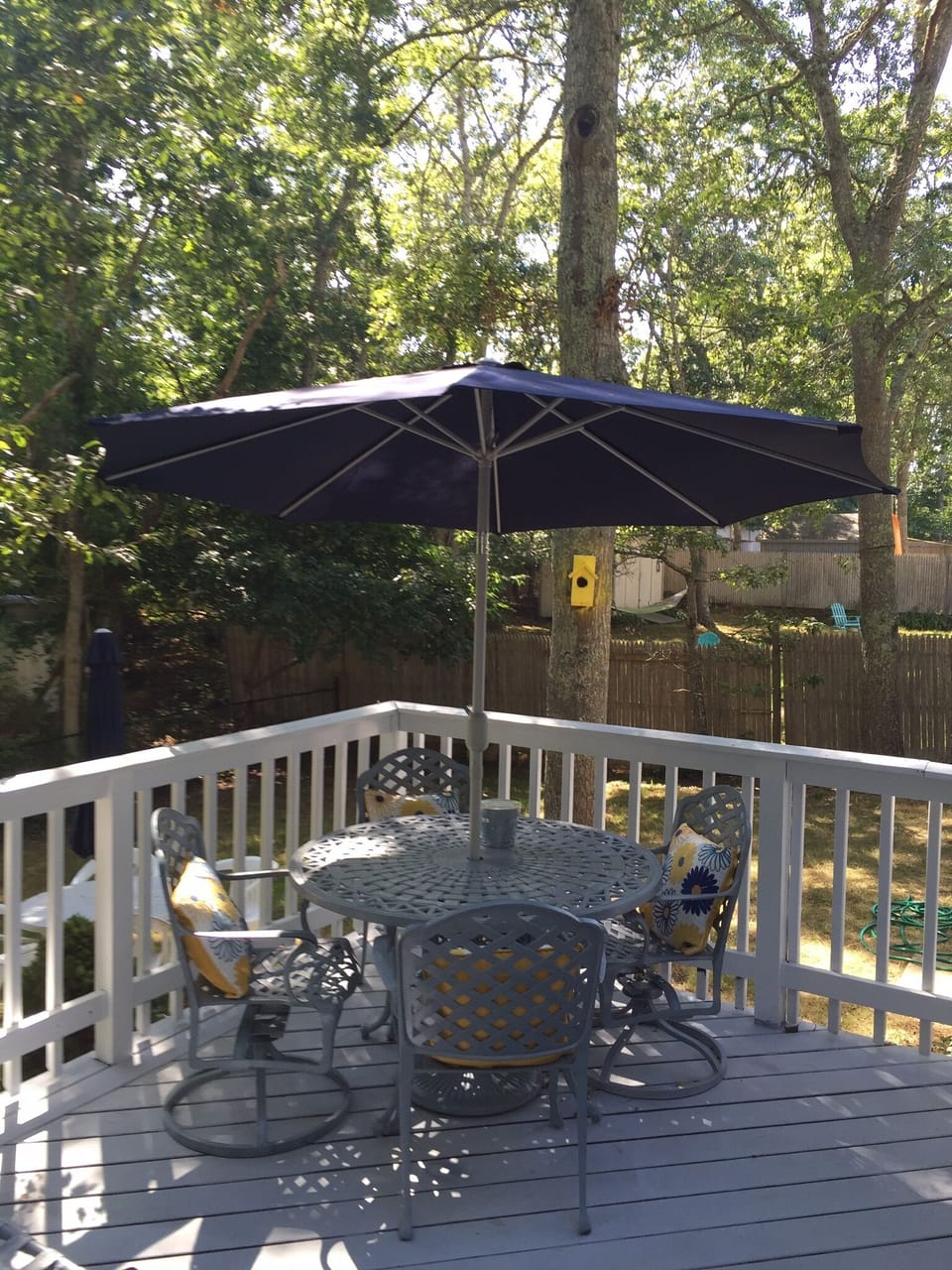 Back porch 