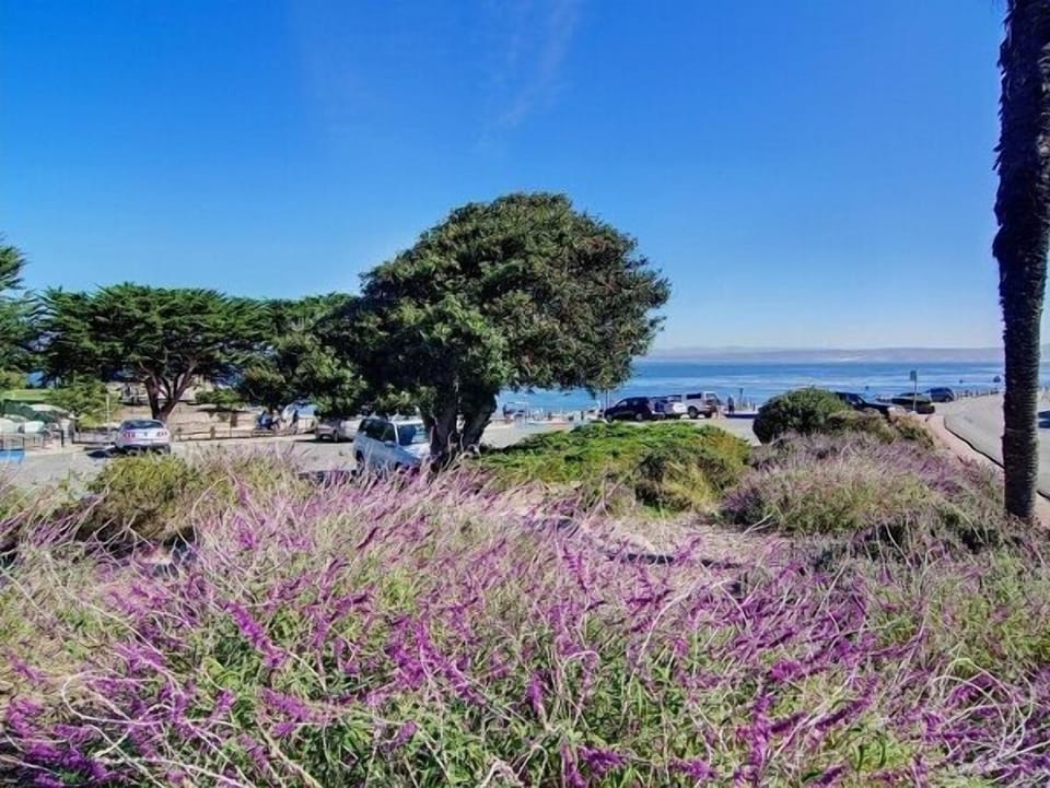 By car, visit sunsets at Asilomar Beach, Pebble Beach, and Carmel-by-the-Sea.