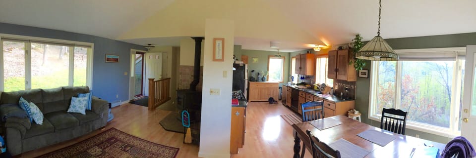 Living room, kitchen, and dining area.