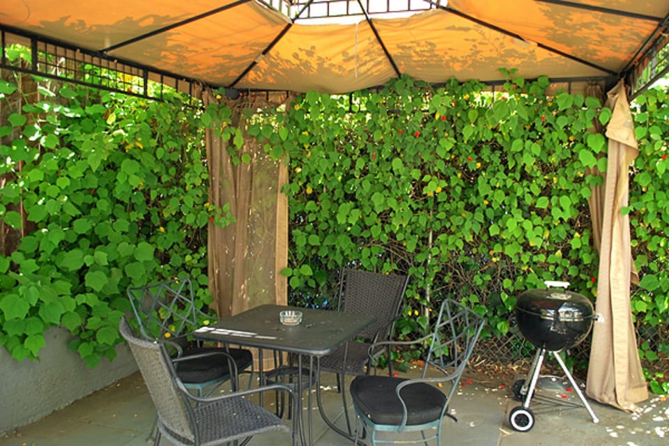 Backyaard & gazebo with outdoor seating