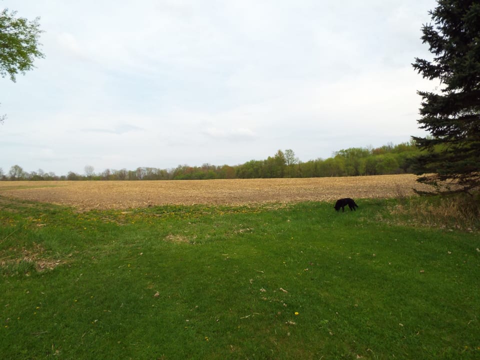 Entrance to the field. It's a 1.2 mile walk around field.