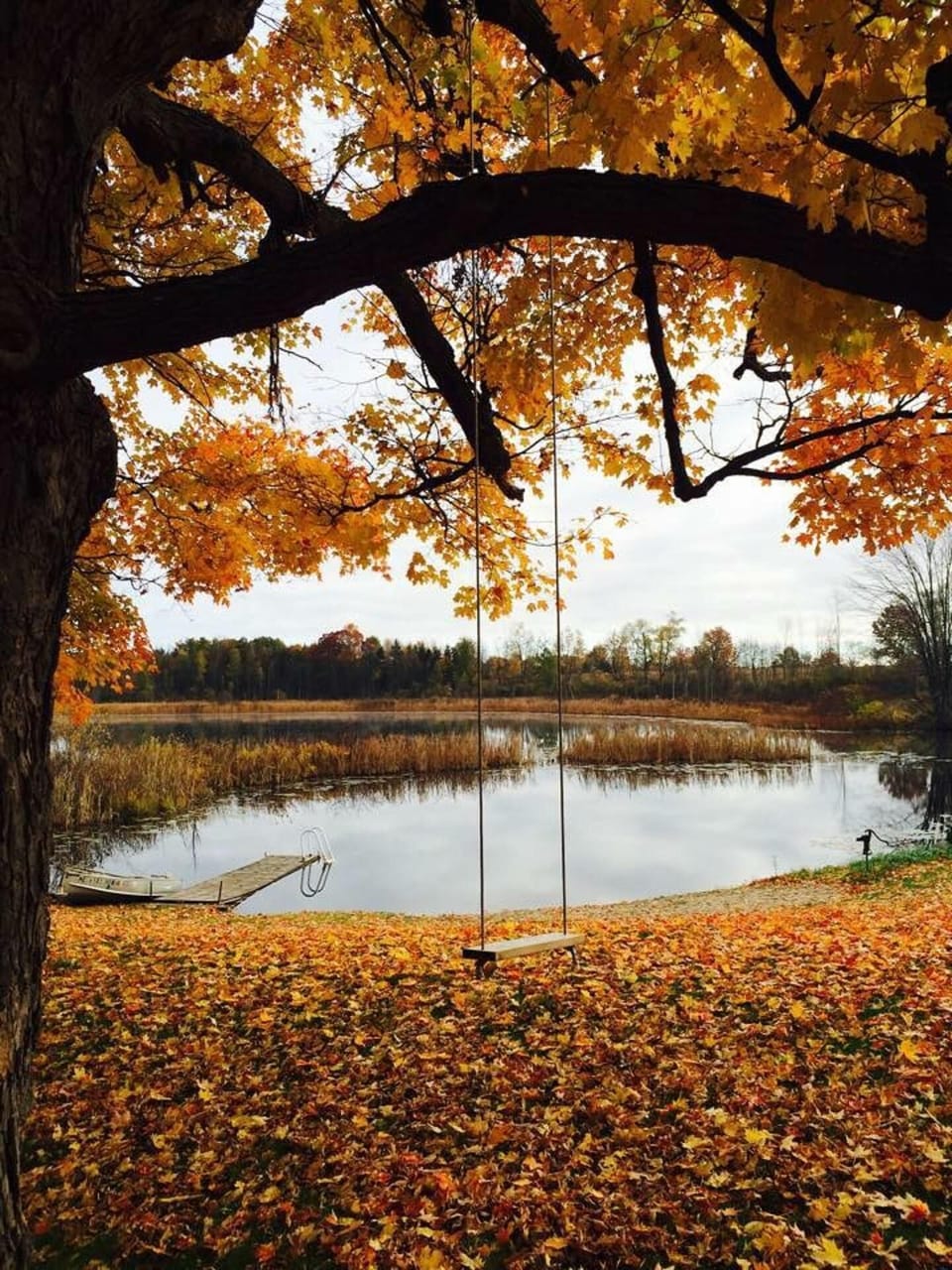 Autumn at Mann Lake