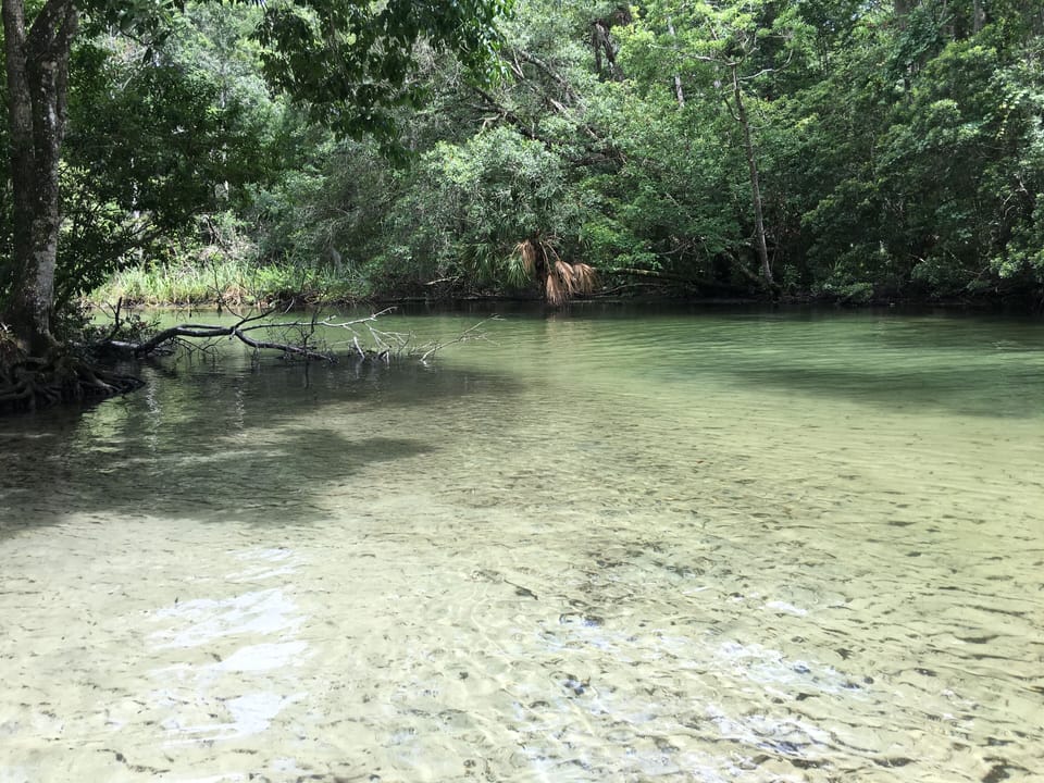Weeki Wachee river