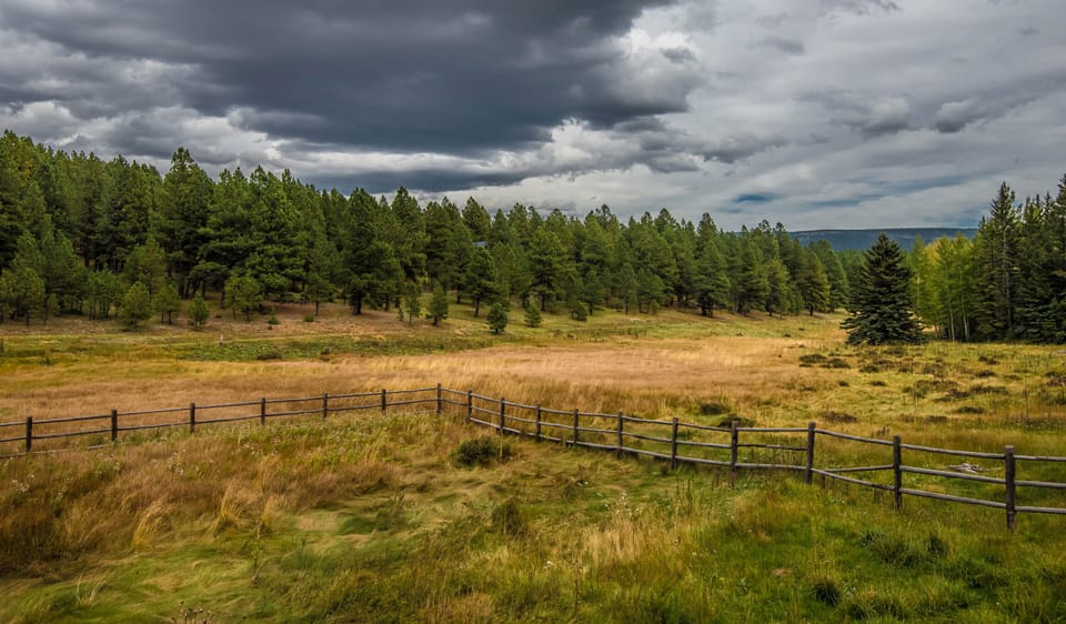 View of the valley in summer