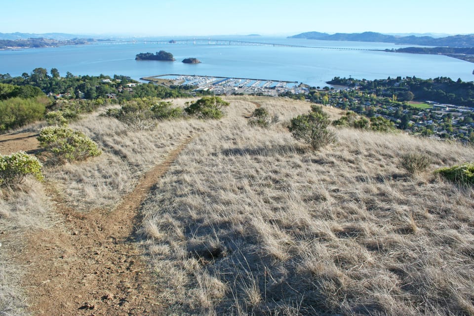 View from China Camp State Park, about a 20-minute walk up from the cottage