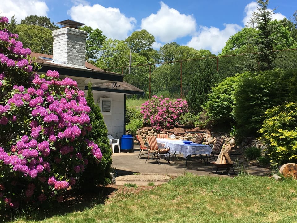 Patio with Webber BBQ
