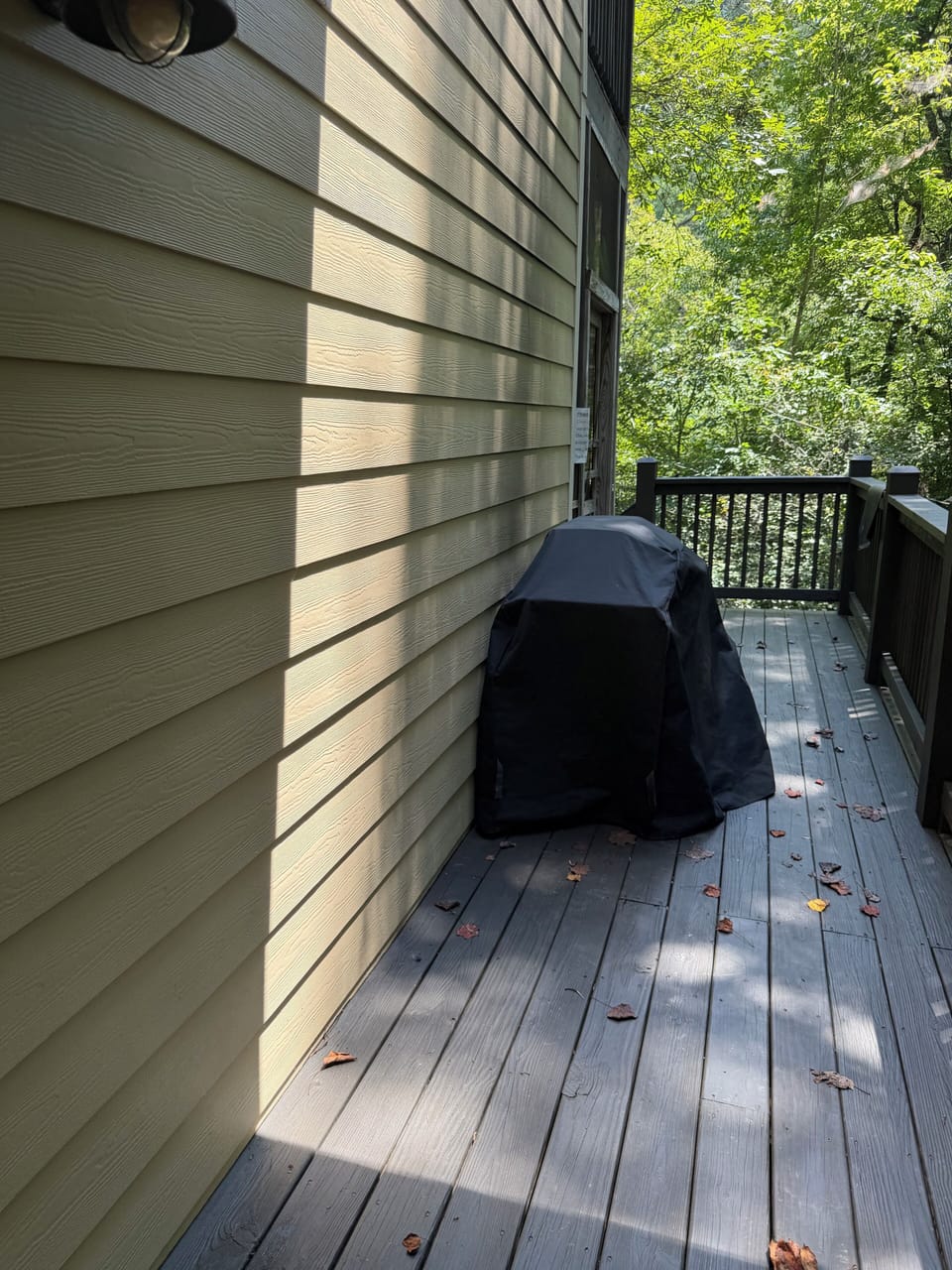 Gas grill