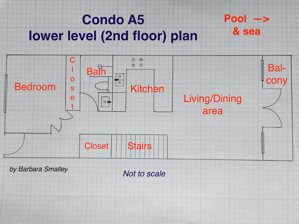 Condo lower level floor plan (not to scale)